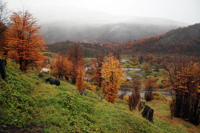 Travel IMG 6944C Patagonia by UmbrA Ar